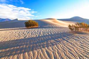 Mesquite Dunes-6166.jpg